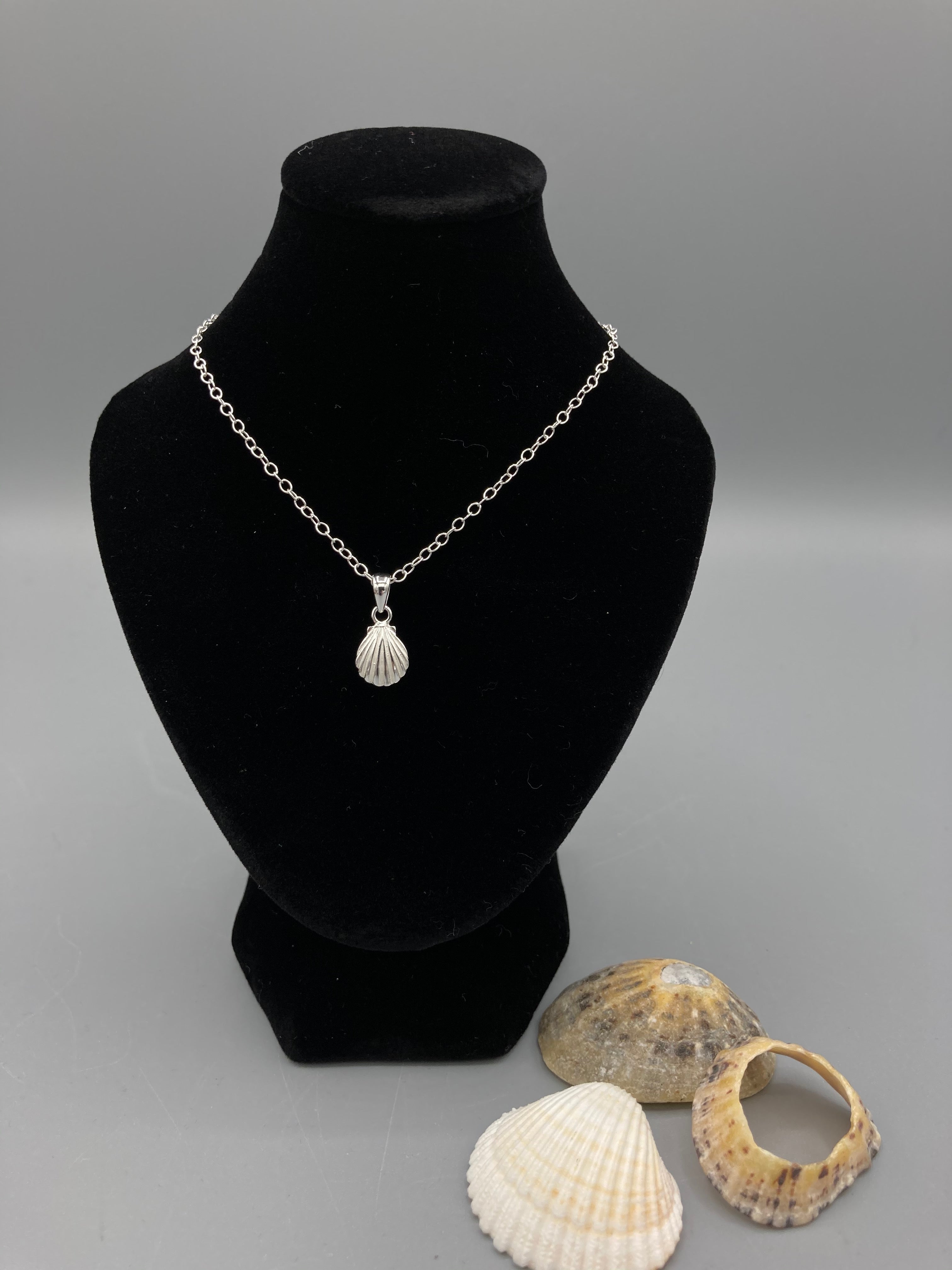 Sterling Silver sea shell pendant on 16" trace chain