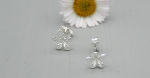 Sterling Silver 6mm diameter flower stud earrings with butterfly clasp